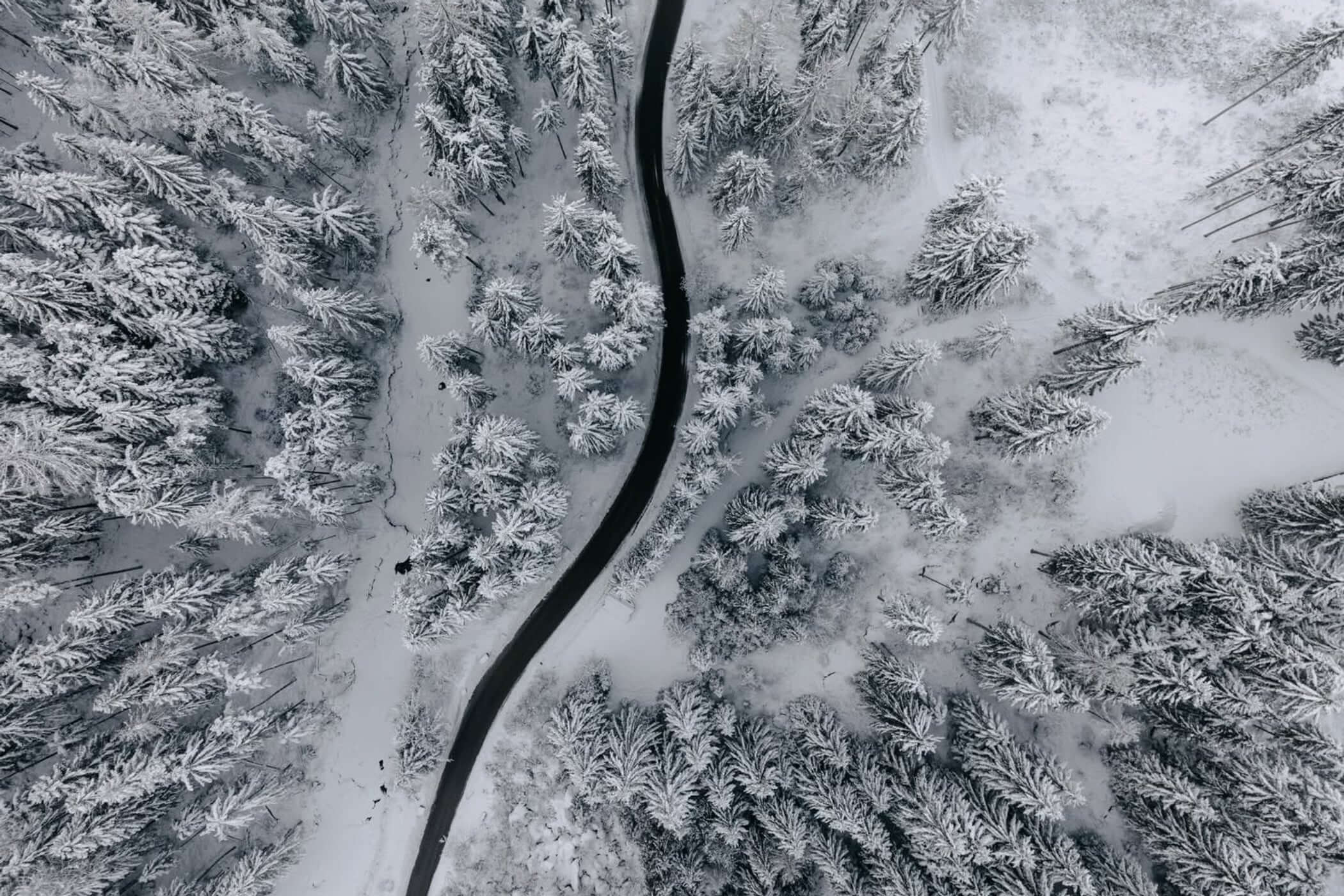 Straße durch den verschneiten Wald von oben