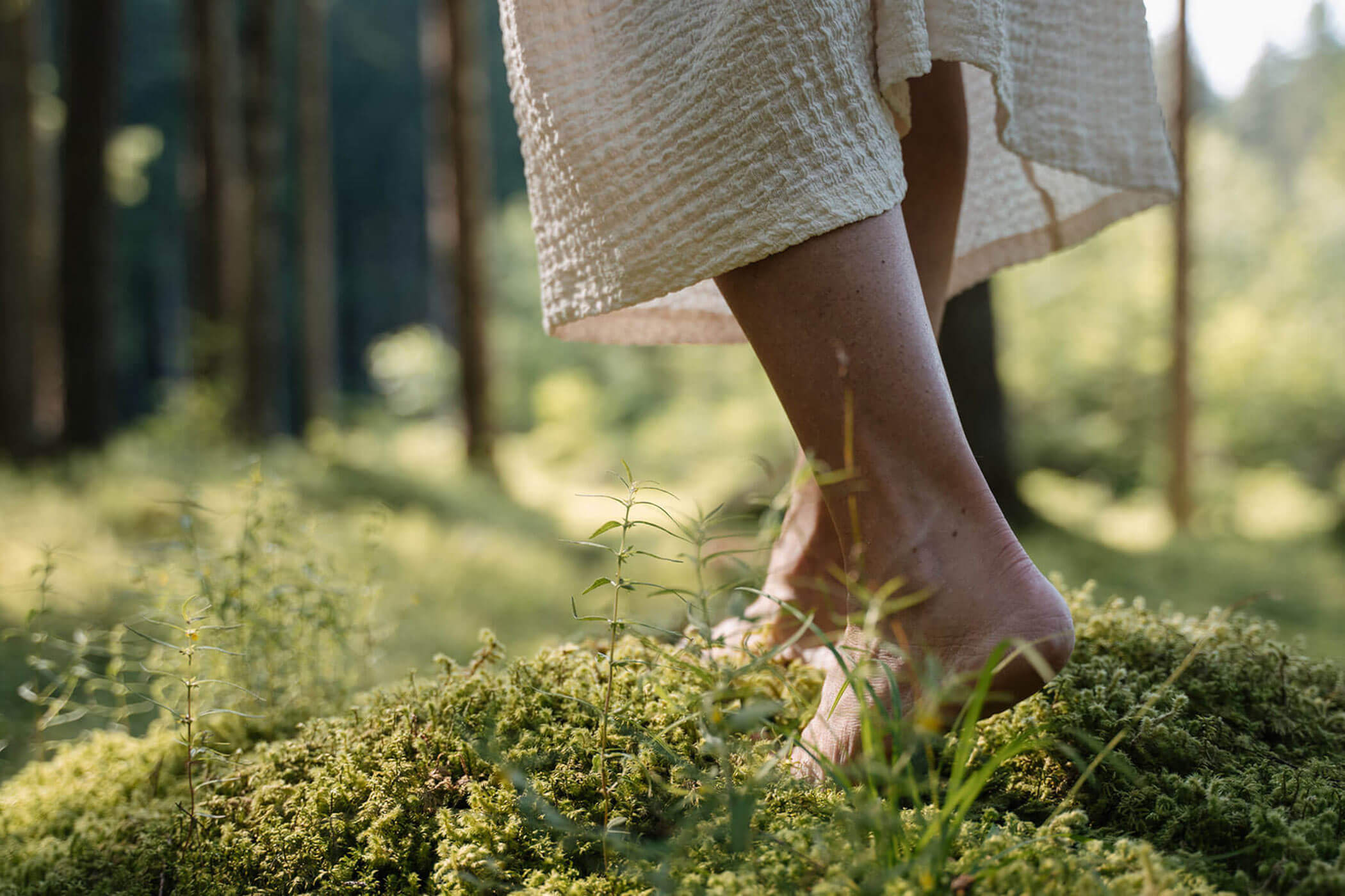 A piedi nudi nella foresta