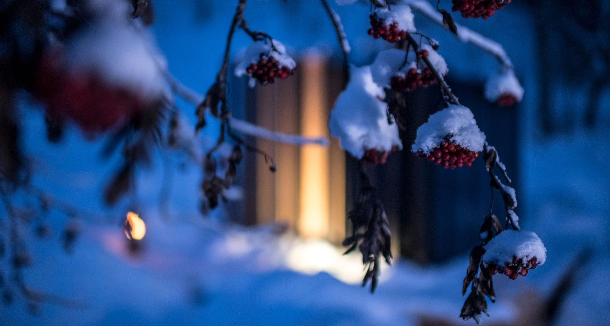 Outside - Bad Ratzes