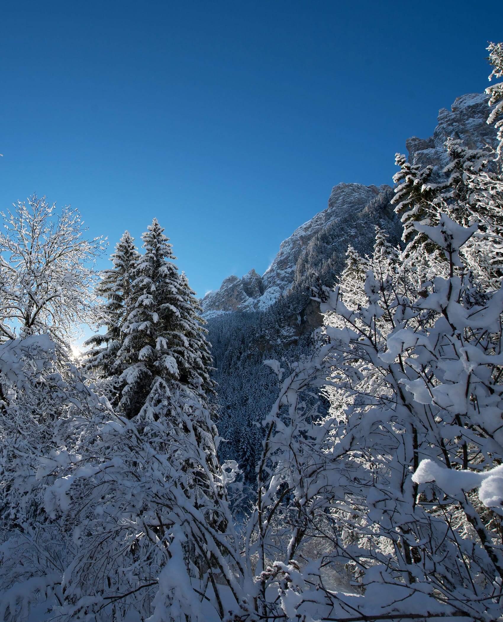 Ausblick auf die Natur