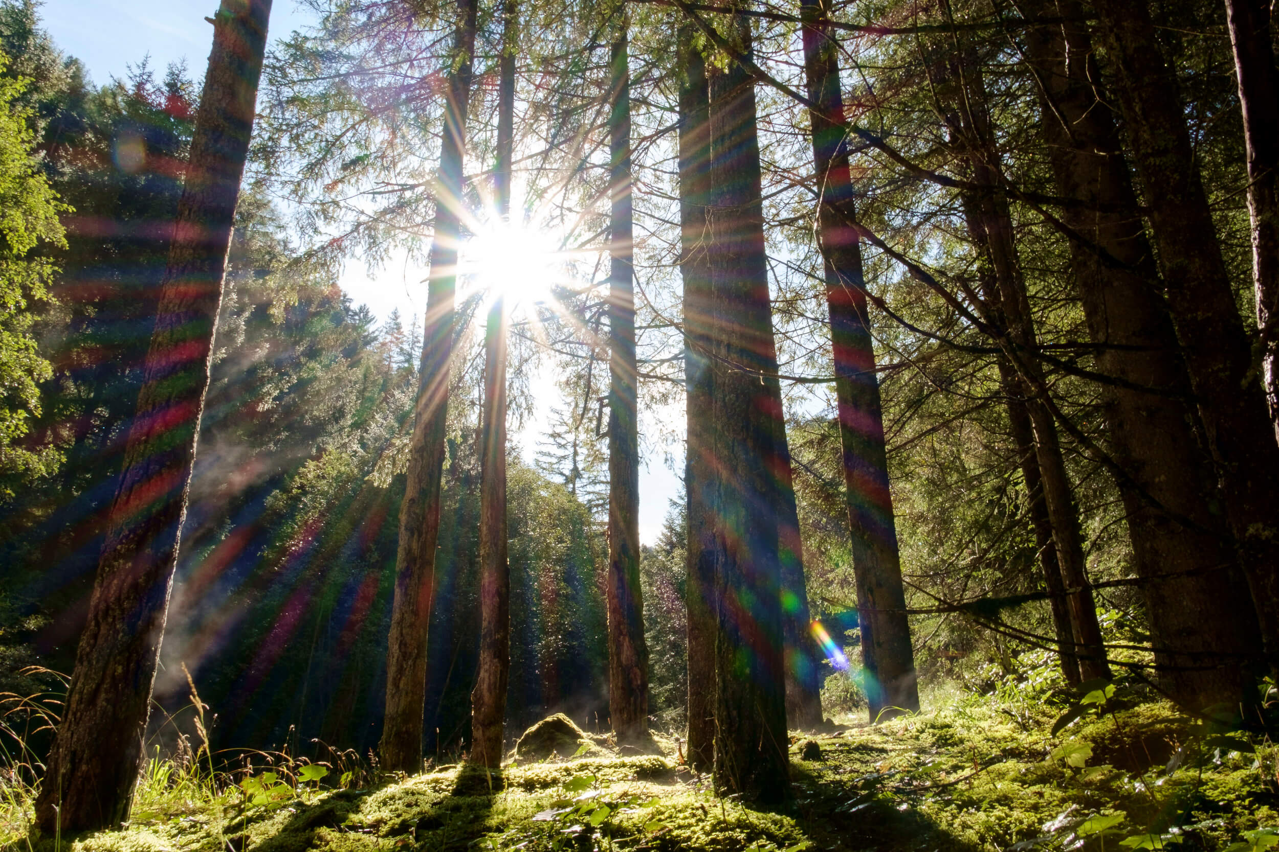 Alpe di Siusi Balance