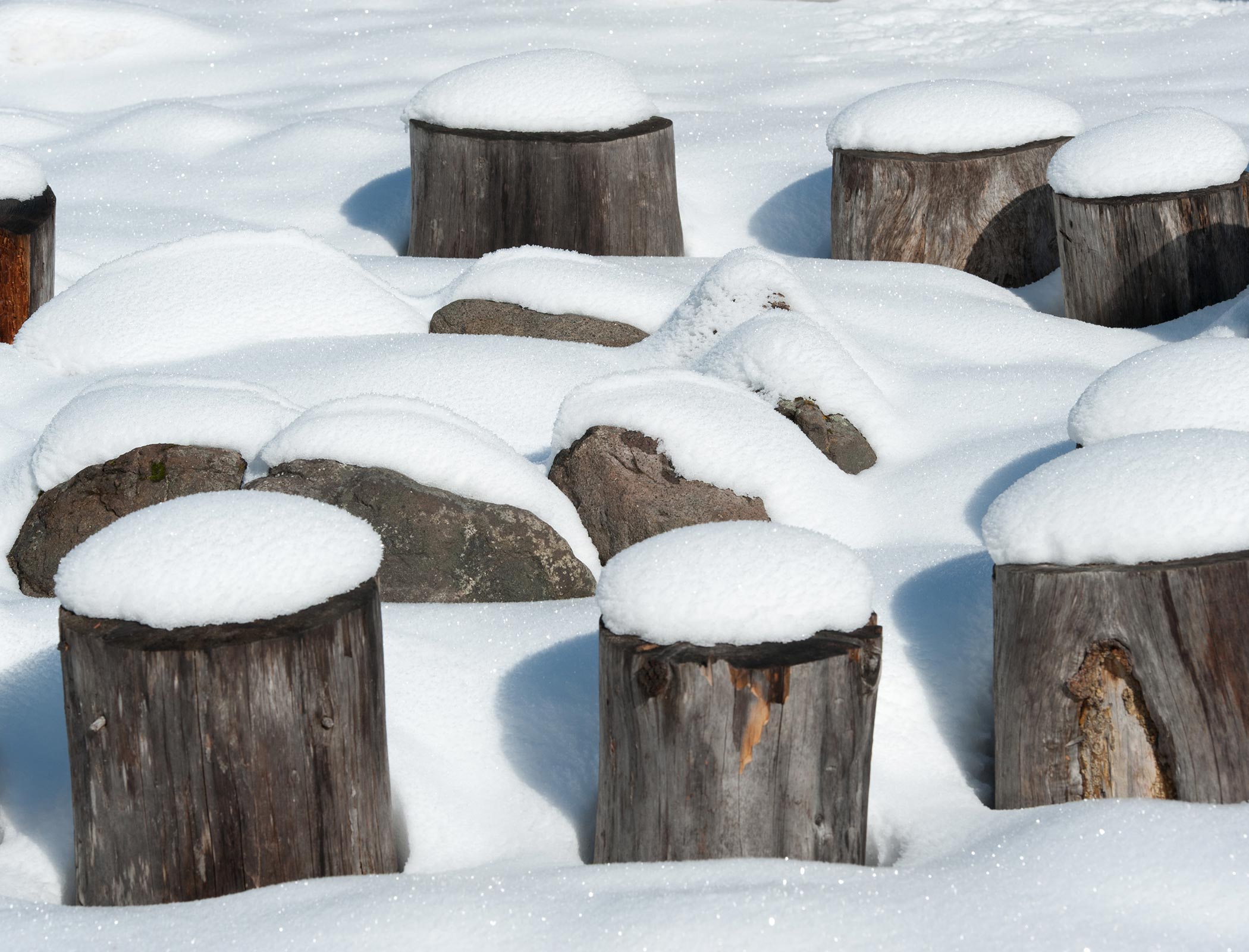 Sulle tracce della natura