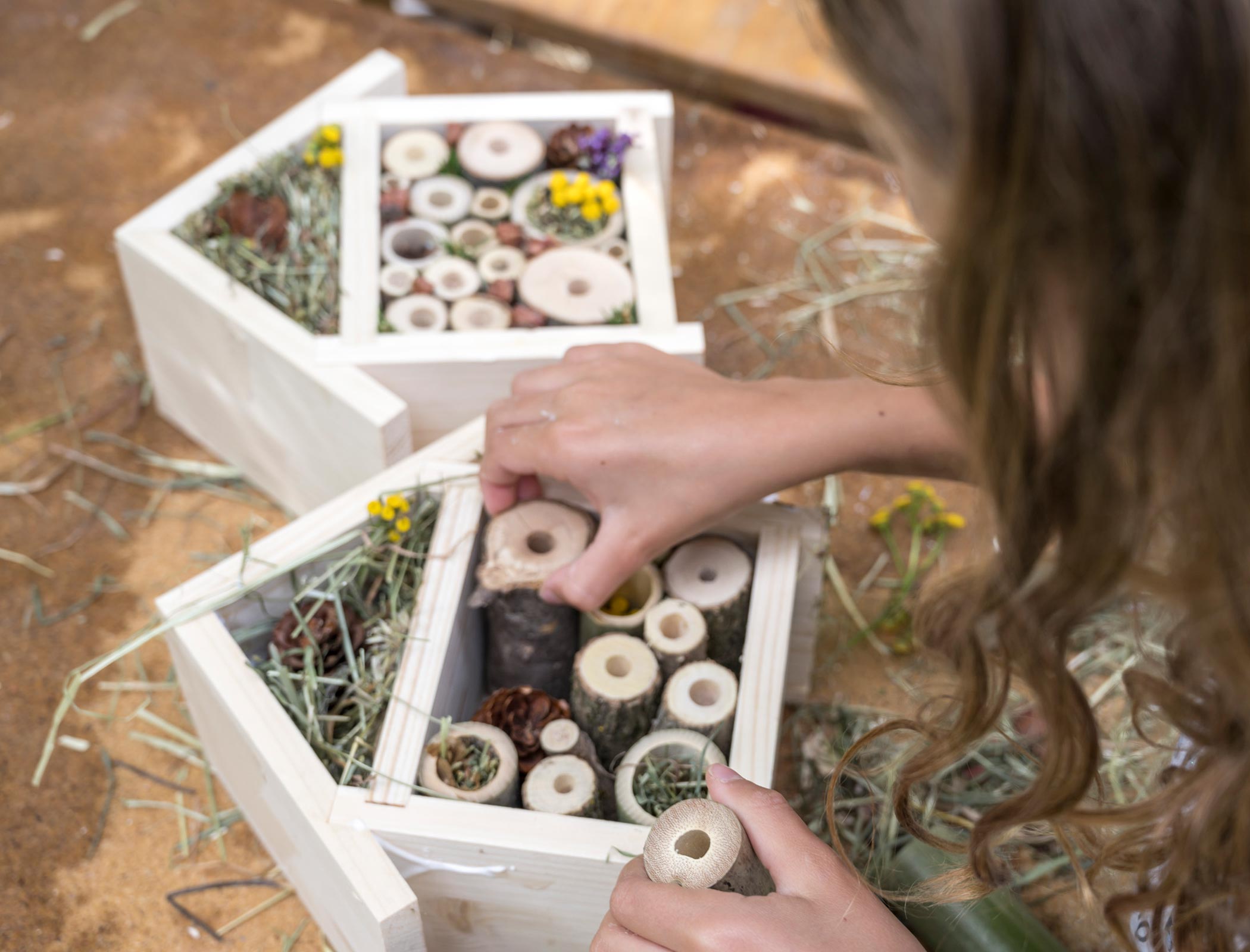 Ein Insekten Hotel basteln