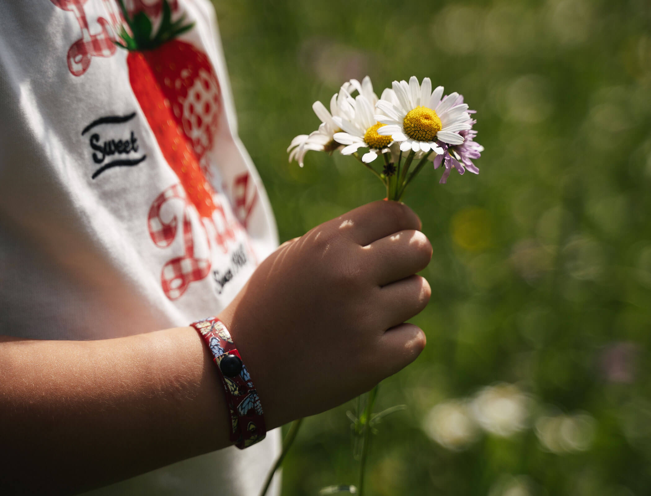 Blumen in der Hand