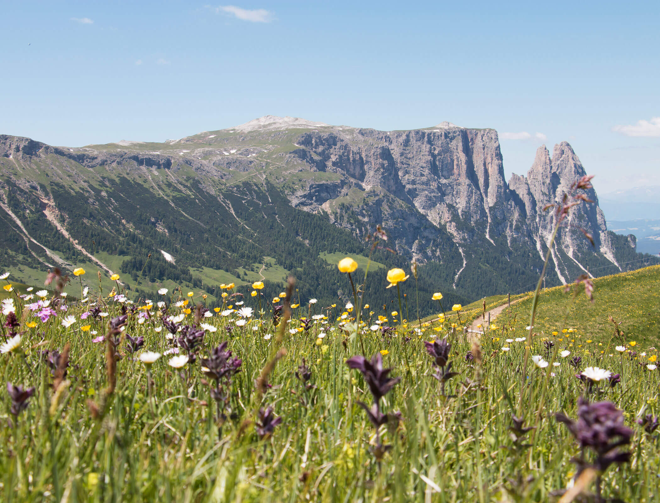 Blick auf die Berge