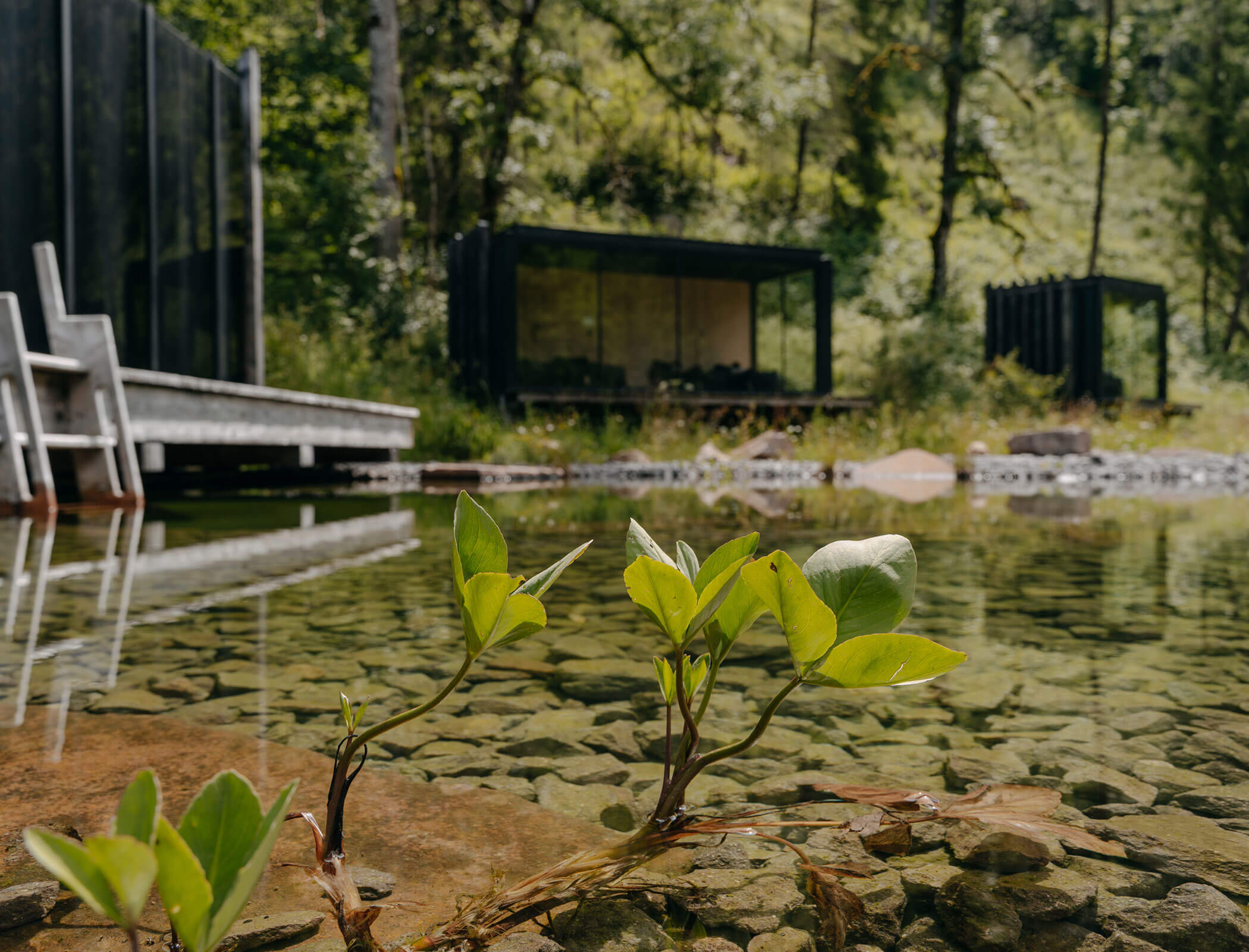 Contenitore dall'esterno con laghetto