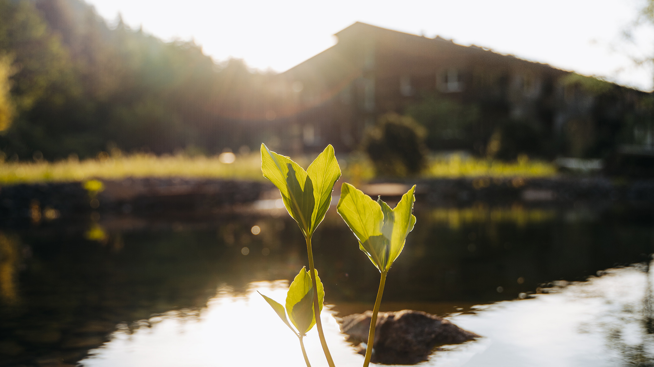 proteggere ciò che apprezziamo