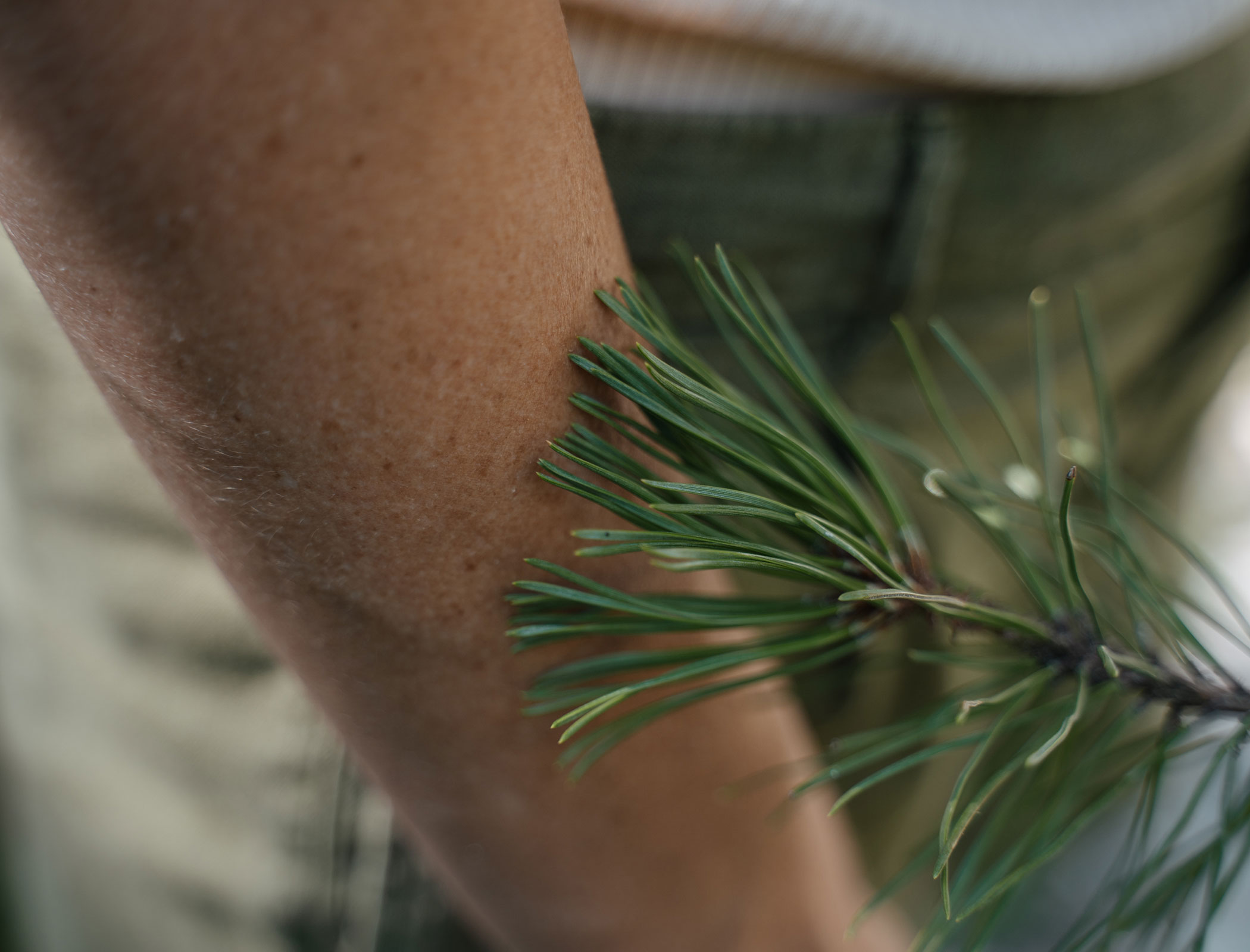 Woman grazes pine needles