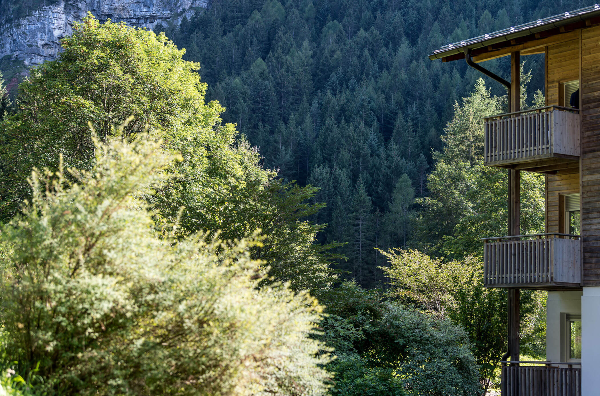Vista sugli alberi e su una parte dell'hotel - Bad Ratzes
