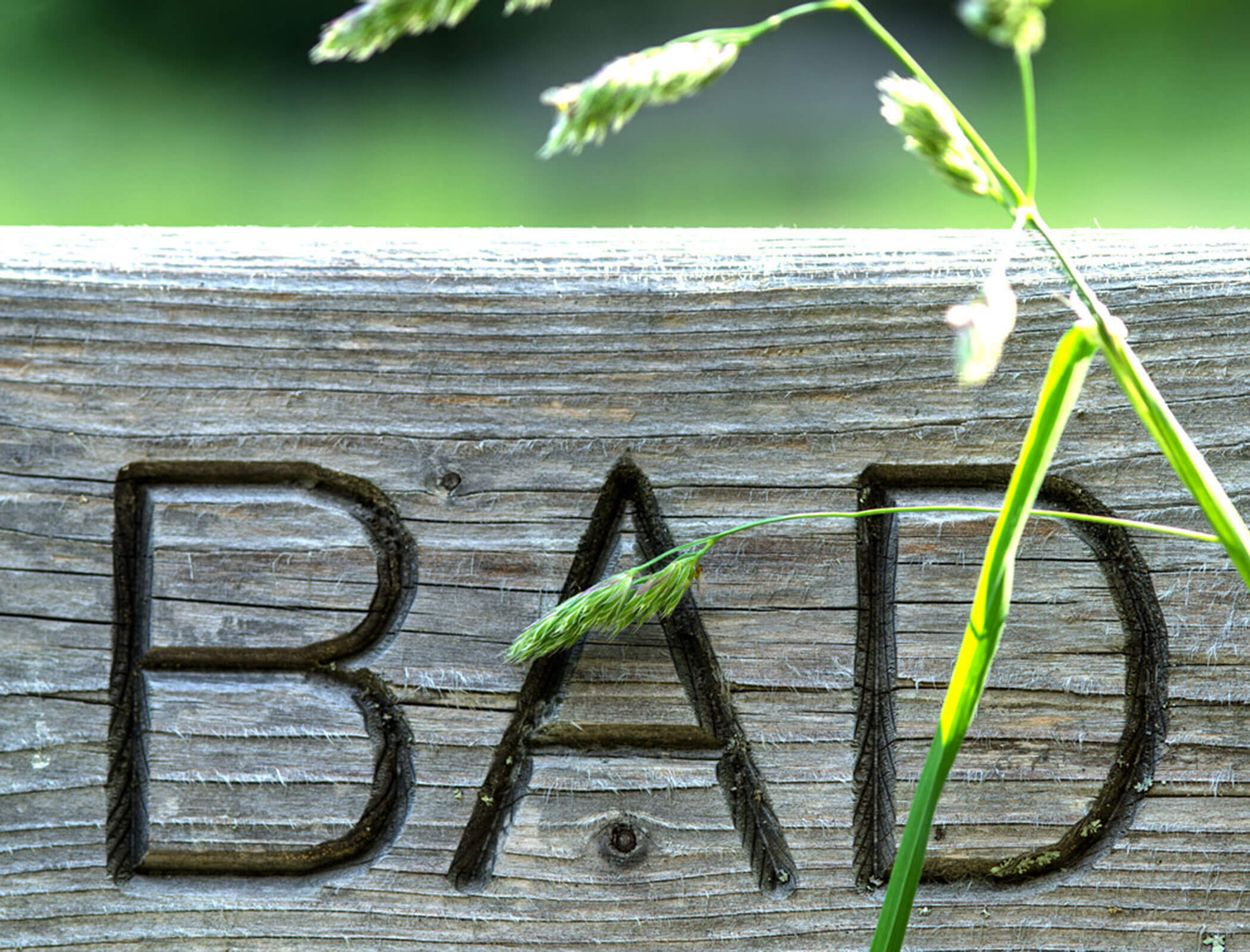 Bad Ratzes inciso su un pezzo di legno - Bad Ratzes
