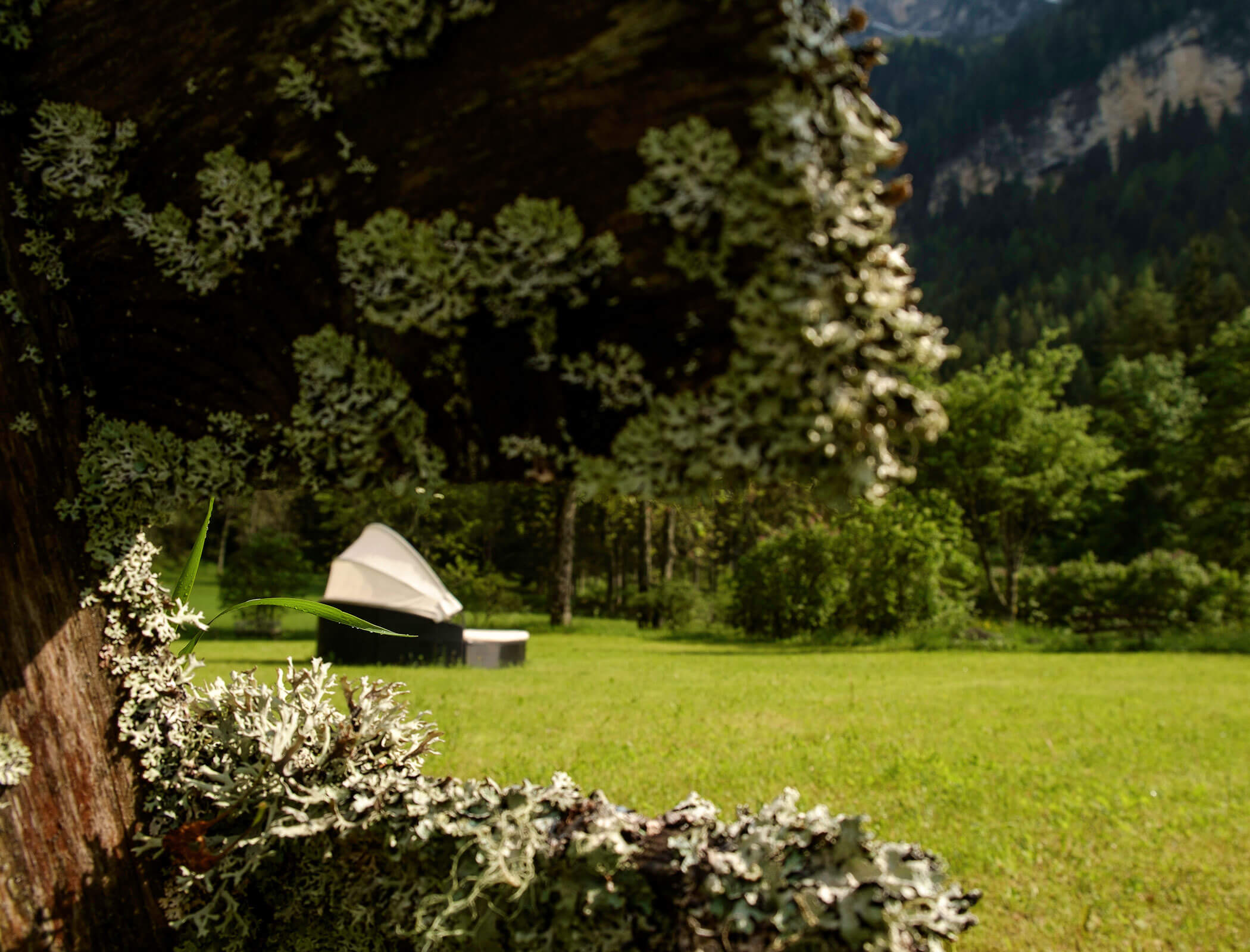 Prato con sdraio e alberi sullo sfondo - Bad Ratzes
