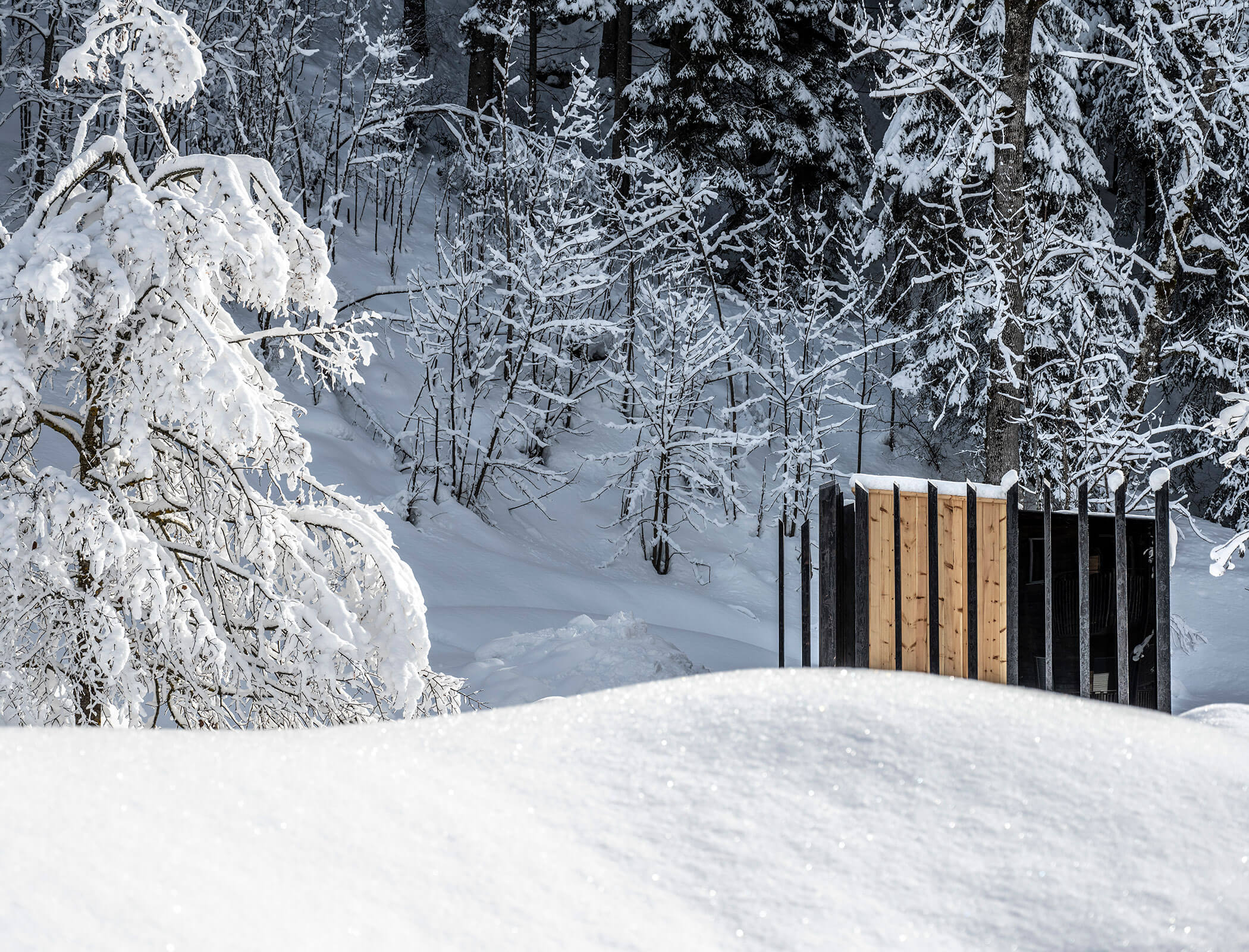 La sauna in giardino in mezzo al paesaggio innevato - Bad Ratzes
