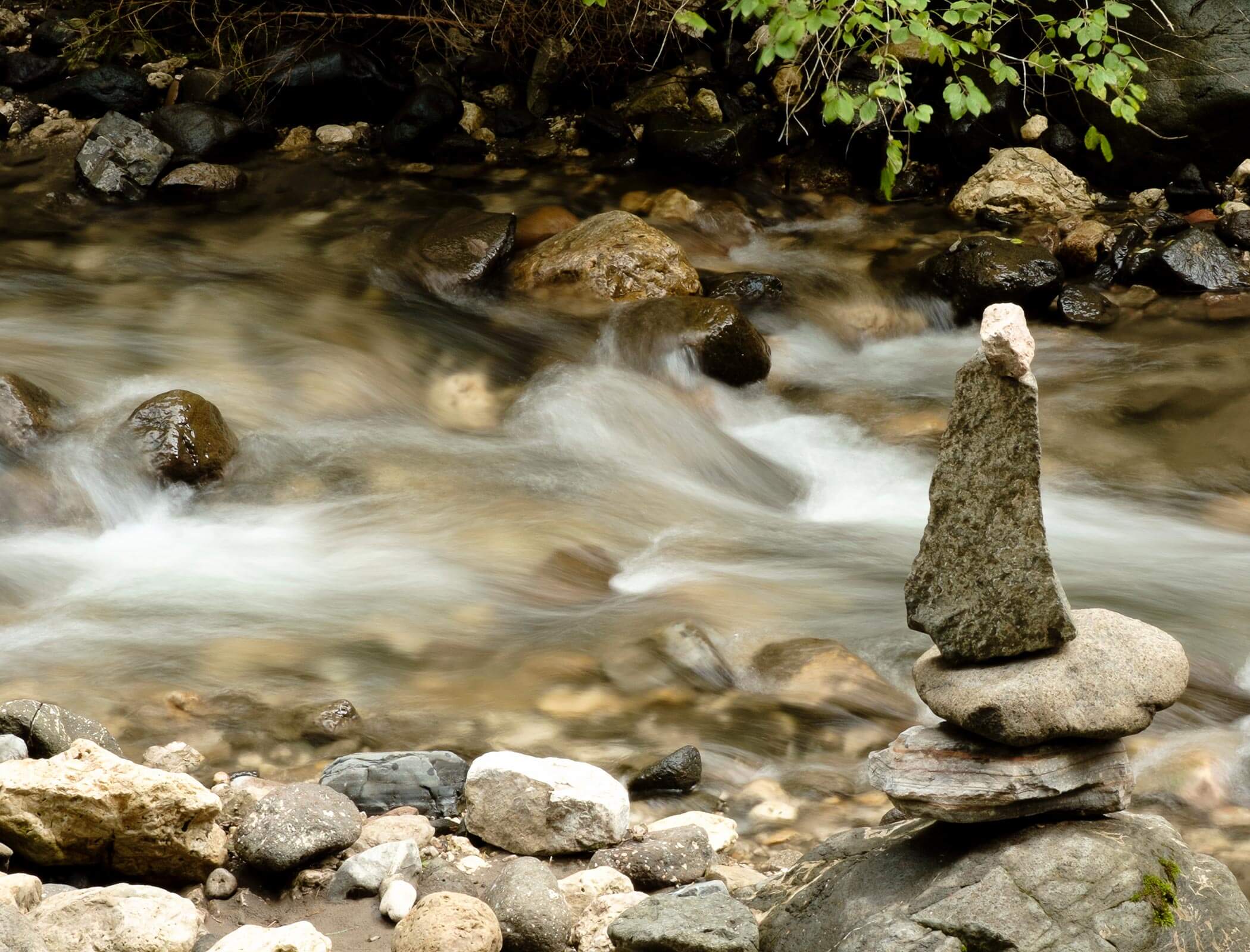 Un ruscello nel bosco con pietre - Bad Ratzes
