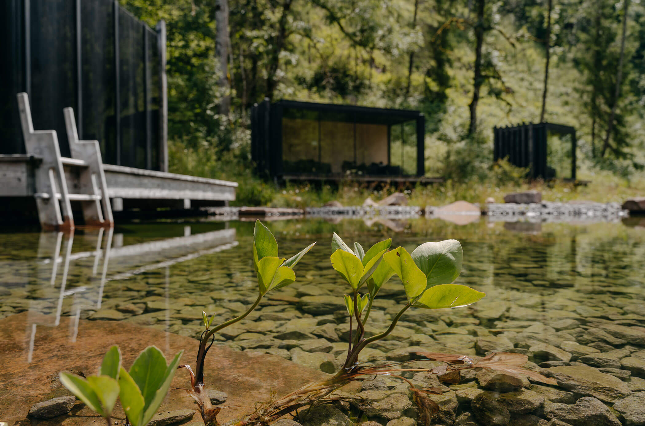 Vista sulla bio-piscina con pietre sul fondo - Bad Ratzes
