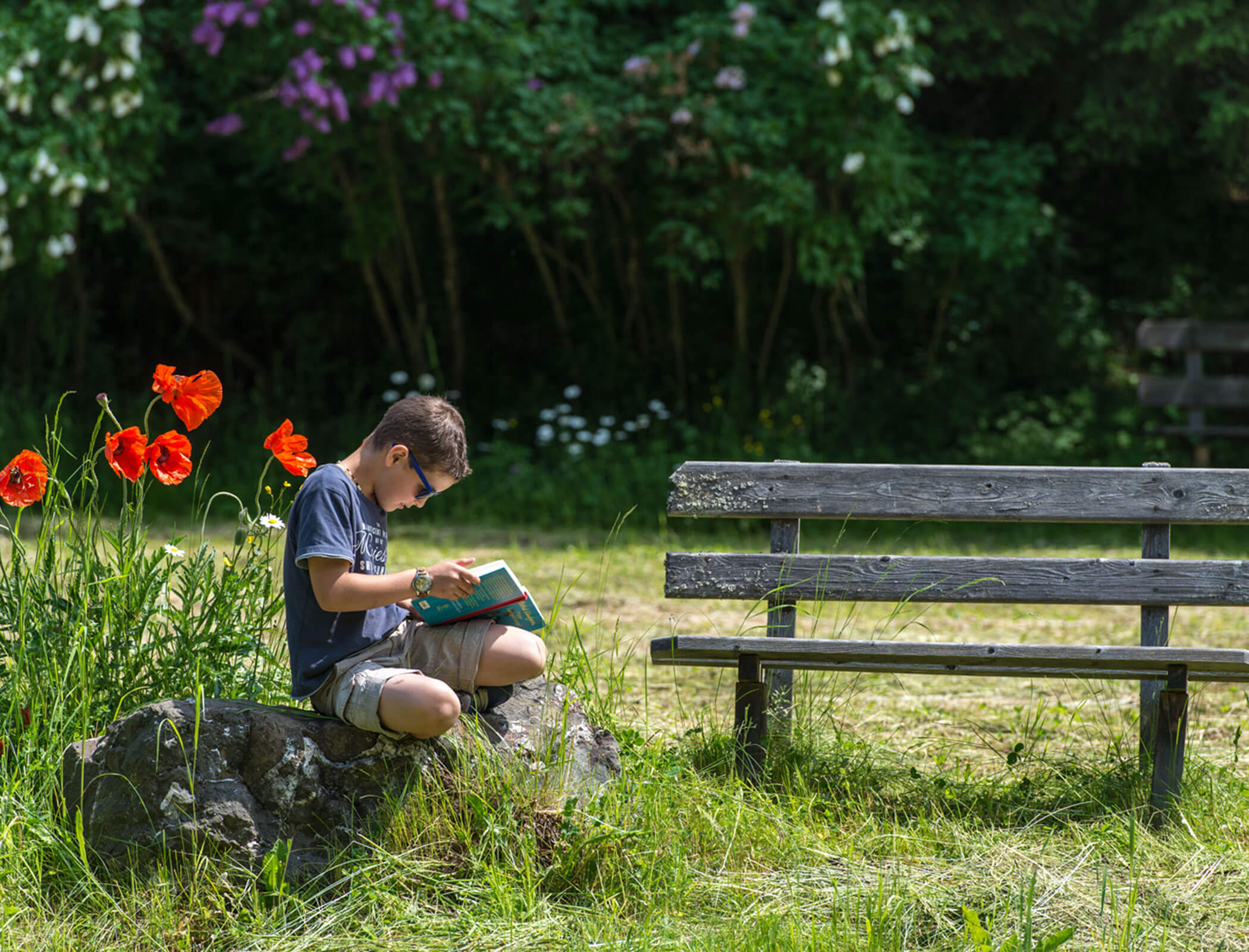 Un ragazzo legge un libro in mezzo al prato - Bad Ratzes