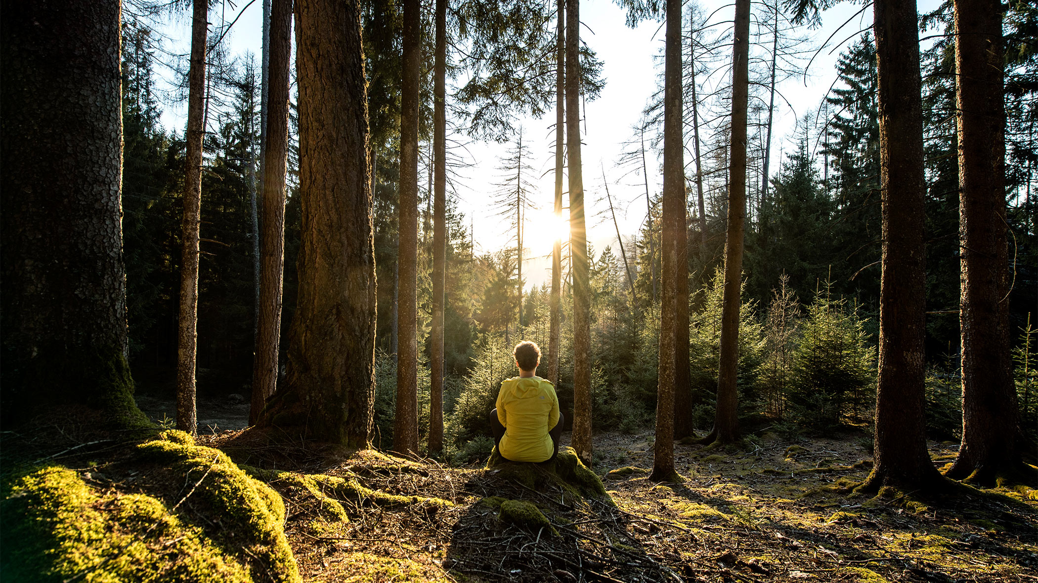 Intervista con Katrin, esperta di erbe alpine